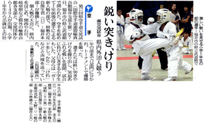 ��17�񕟈䌧��蓹�𗬎����V���f�ڋL��